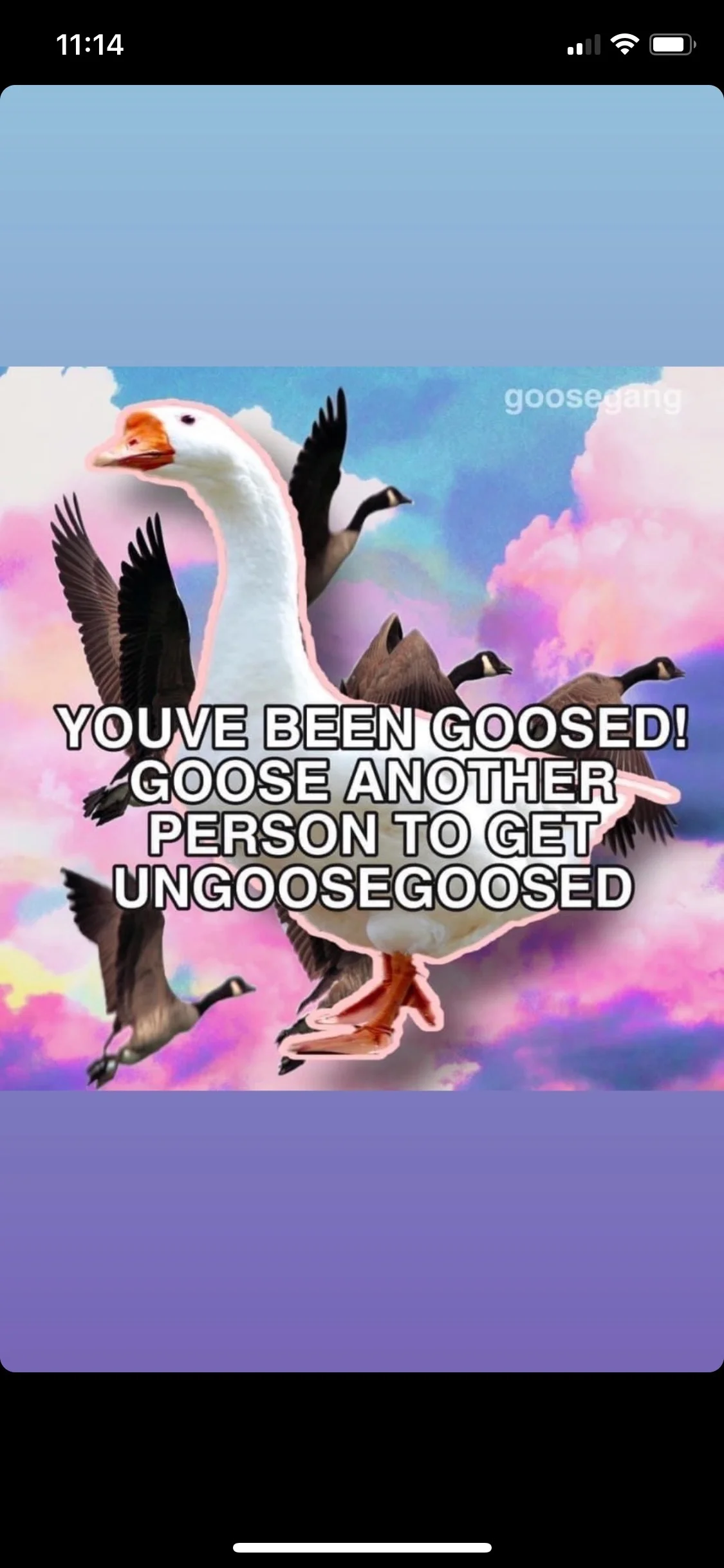 🧱 - Content Creator